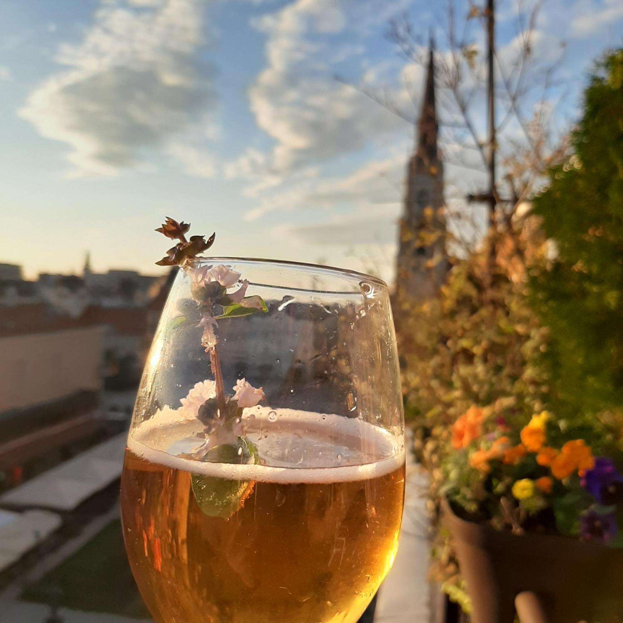 Penthouse Modena Apartment Novi Sad Cameră foto