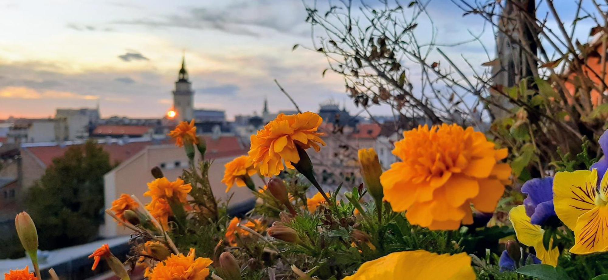 Penthouse Modena Apartment Novi Sad Cameră foto